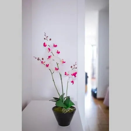 Apartment Primavera *